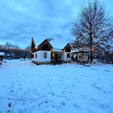 Villa Cuib Din Fagaras Avrig Exterior foto