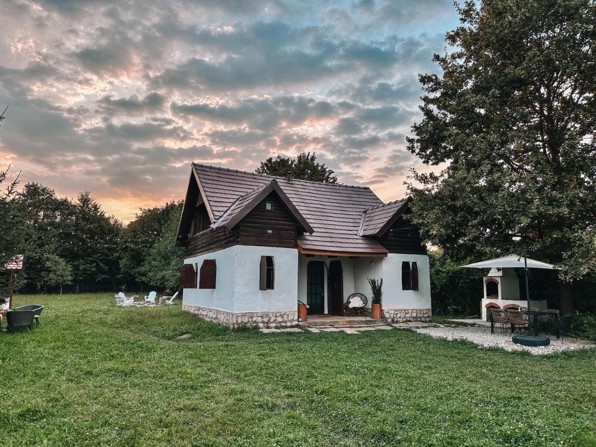 Villa Cuib Din Fagaras Avrig Exterior foto