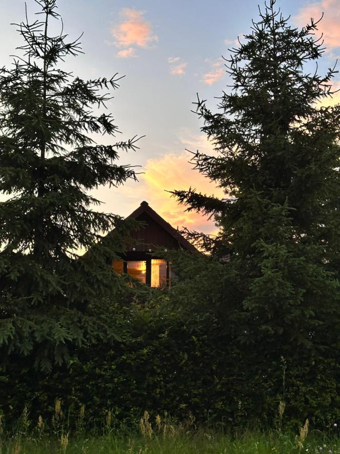 Villa Cuib Din Fagaras Avrig Exterior foto