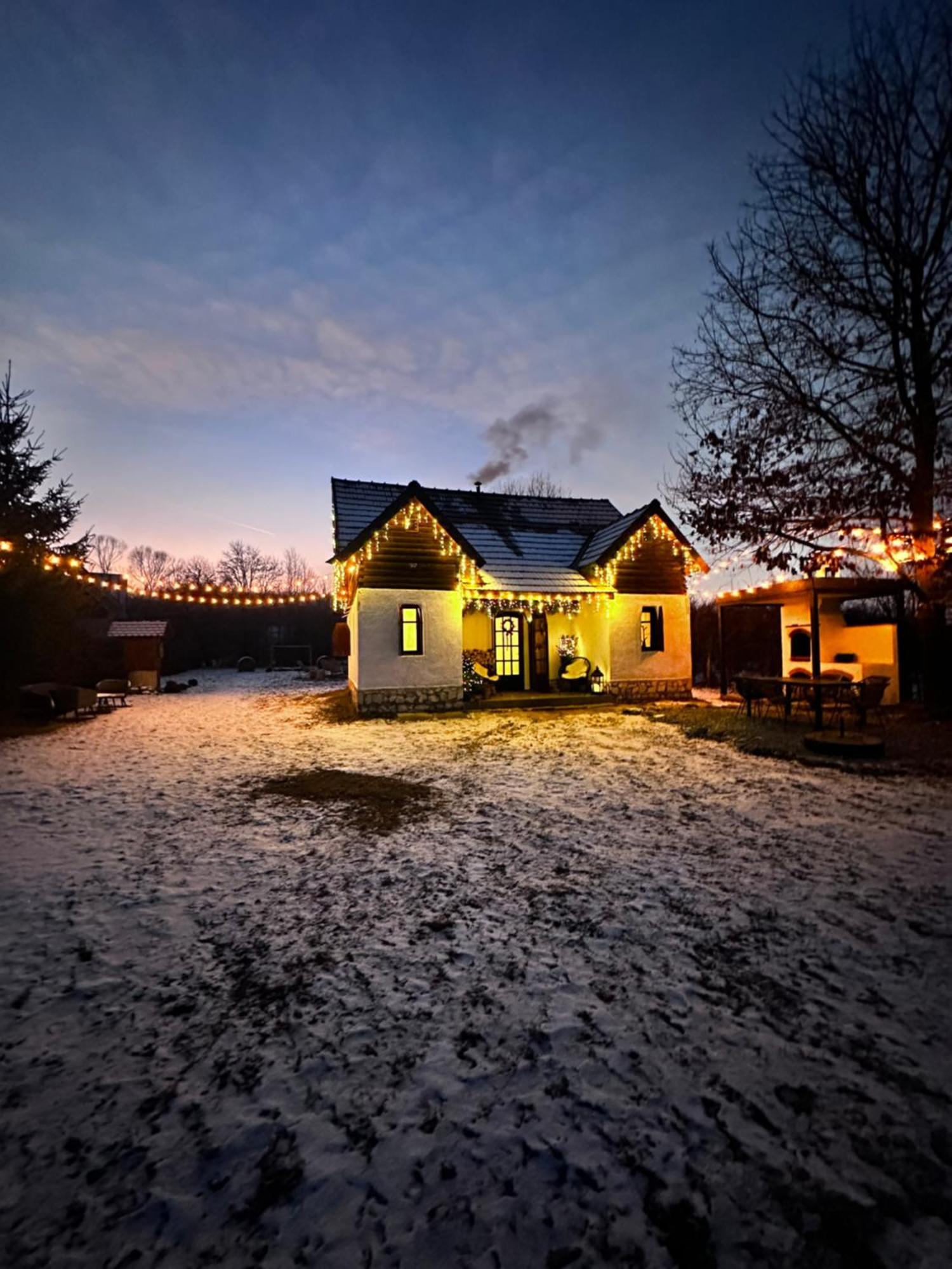 Villa Cuib Din Fagaras Avrig Exterior foto
